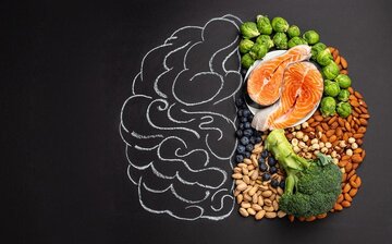  برای افزایش هوش این مواد غذایی را امتحان کنید ۱۰ ماده غذایی برای تقویت سلامت مغز و حافظه