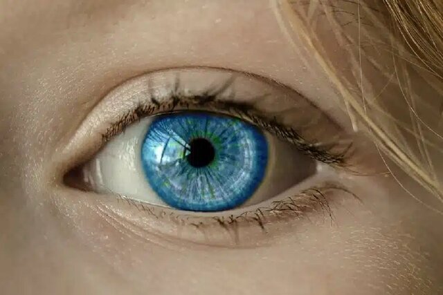   نقش حیاتی ژن‌های رنگ چشم در حفظ سلامتی شبکیه