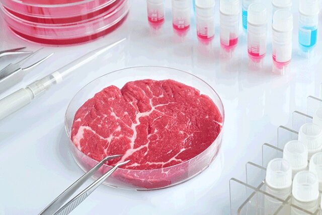  در یک پژوهش جدید ادعا شد؛ گوشت آزمایشگاهی تا ۲۵ برابر بیشتر کربن تولید می‌کند