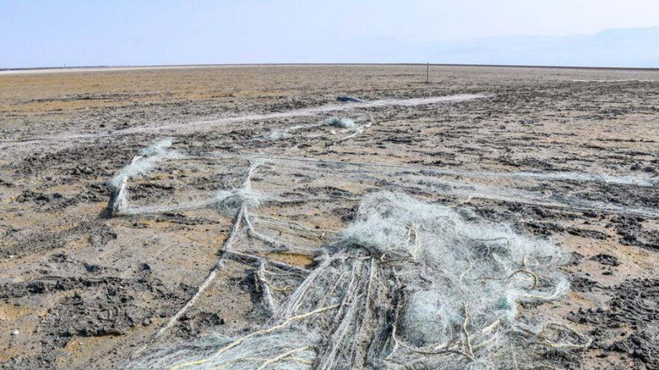  کاهش ۳۰ درصدی سطح تالاب میانکاله