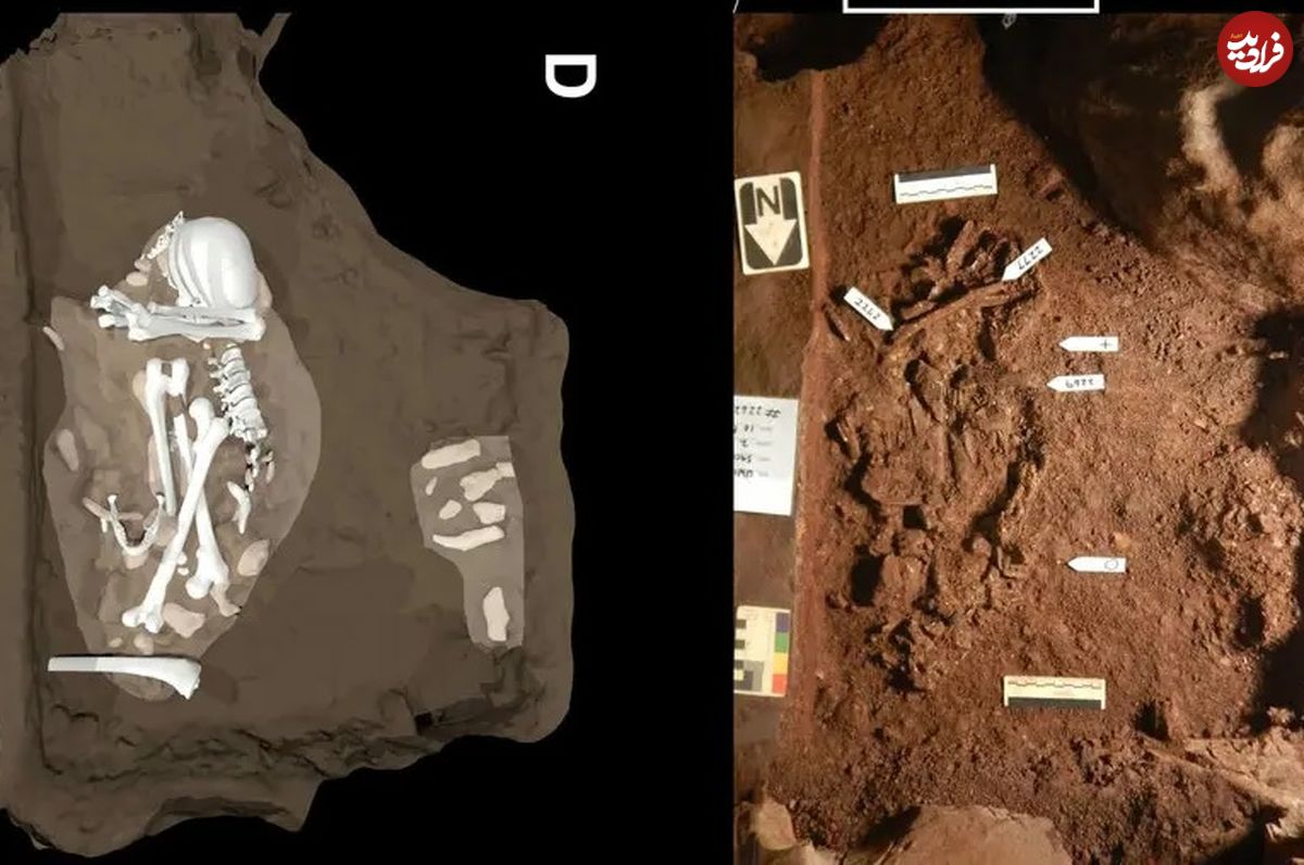 قدیمی‌ترین «قبر» جهان که شاید متعلق به یک گونۀ هوشمند «ماقبل انسان» بوده باشد 