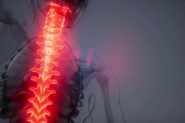  آغاز یک آزمایش مهم برای مقابله با تحلیل عضله فضانوردان