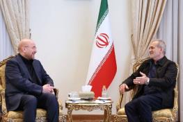 دوگانه خاتمی - ناطق نوری تکرار می شود؟ /عثمانی: قالیباف وارد اختلافات سیاسی نخواهد شد /عثمانی: رابطه پزشکیان با مجلس بدون چالش نیست