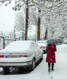  ایران هفته آینده یخ می‌زند / دمای برخی مناطق به منفی ۲۰ درجه می‌رسد / دمای تهران تا منفی ۶ درجه پیش بینی می‌شود / اوج سرما در دوشنبه و سه‌شنبه است