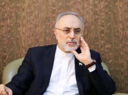 علی اکبر صالحی: فرضیه‌ای که روز به روز به واقعیت نزدیکتر می‌شود، اجتناب‌ناپذیری درگیری ایران با اسرائیل و غرب است 