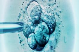   اولین نوزاد استرالیایی با روش جایگزین IVF متولد شد