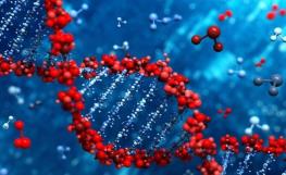  محققان: ویروس‌های باستانی در DNA انسان می‌توانند کلید مبارزه با سرطان باشند