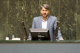  نایب رییس کمیسیون بهداشت مجلس: کسانی که موافق حذف ارز ترجیحی بودند اکنون باید پاسخ‌گو باشد