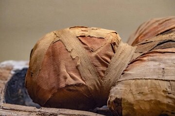  همزمانی اتفاقی یا موج سواری مکزیکی‌ها؟ عکس| از مومیایی شاهدخت ایرانی تا موجودات فضایی مکزیک؛ موضوعاتی که آمده‌اند تا خبرساز شوند!